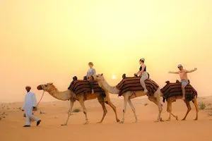 Abu Dhabi Desert Tours