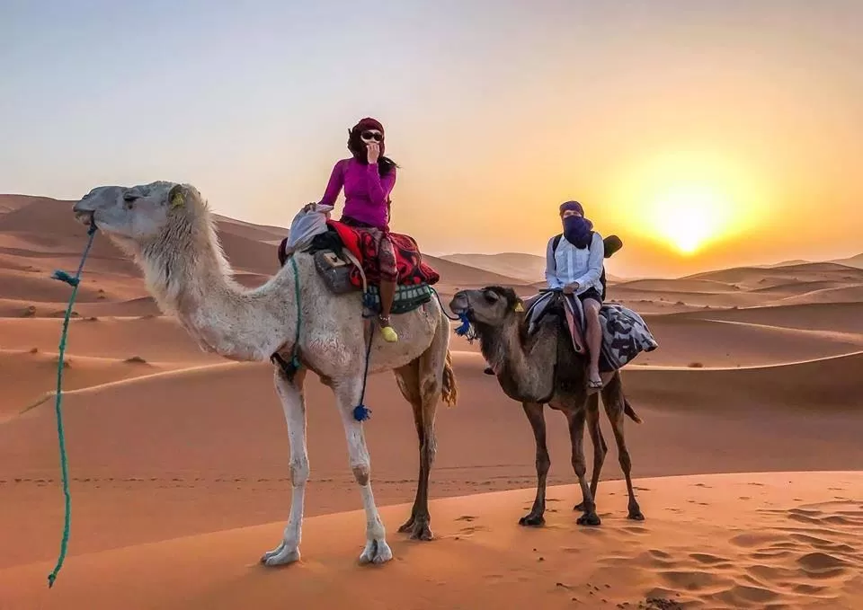 Desert Safari Booking