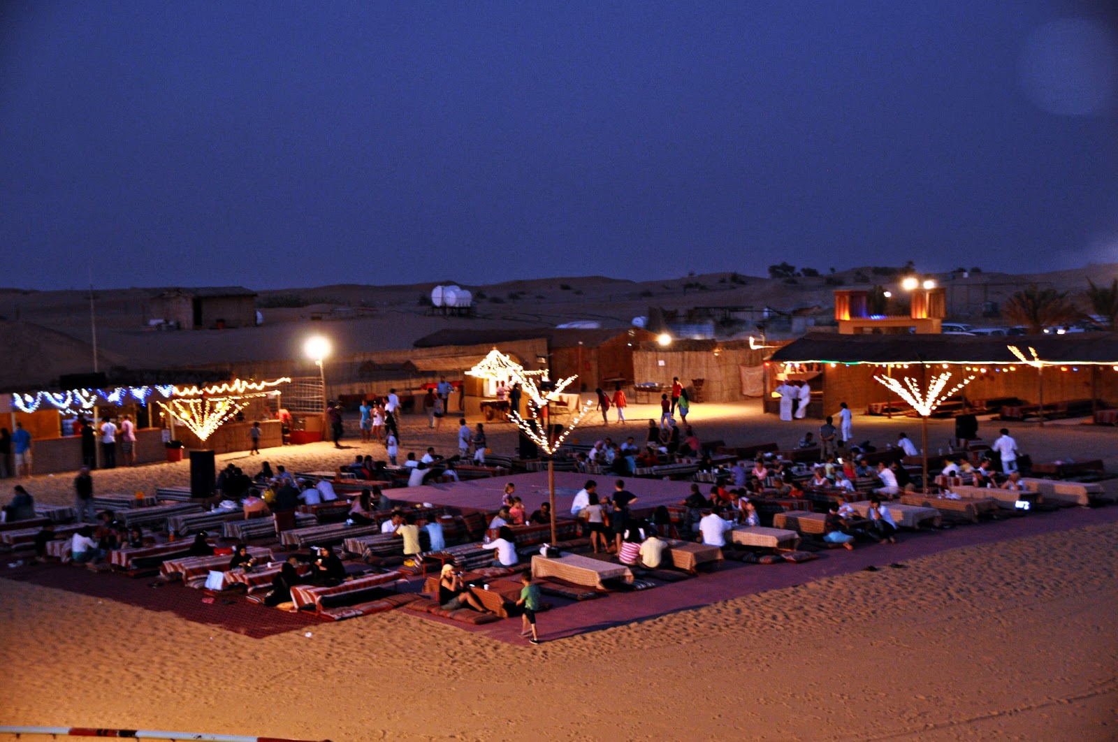 Evening Desert safari by Dubai 2024 | Luxury Red Arabian Safari