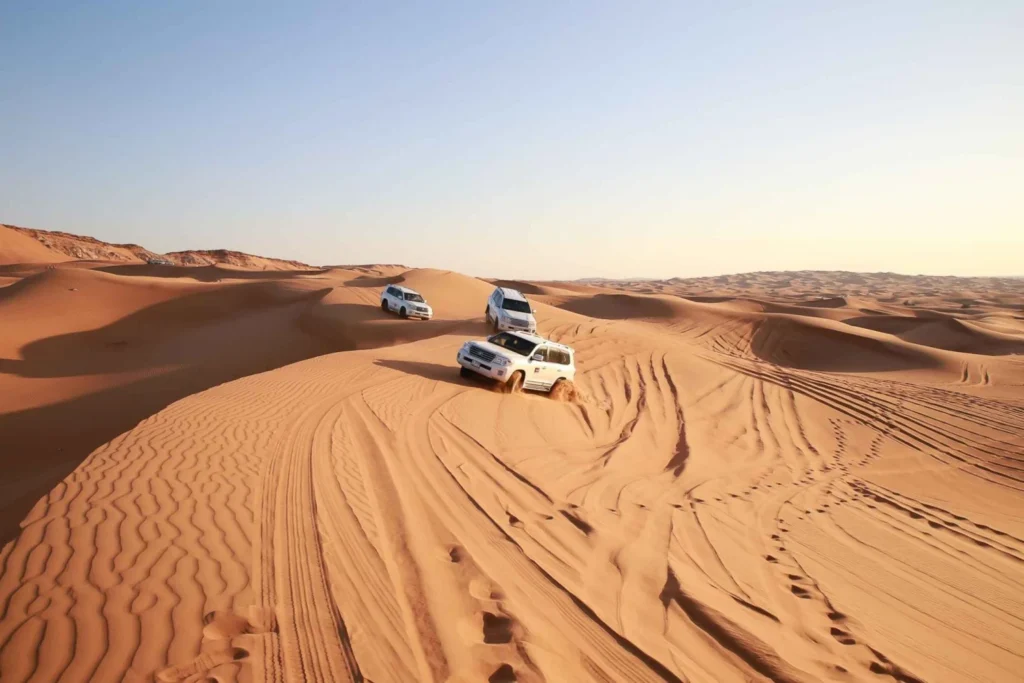 Evening Desert Safaris