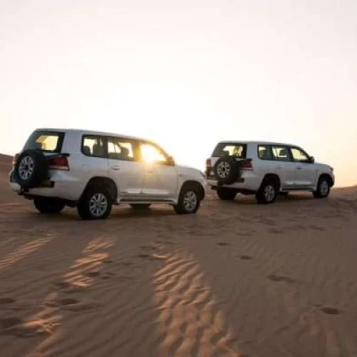 VIP Desert Safari Dubai Tour