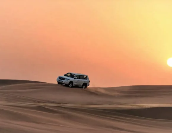 Desert Safari Tours Dubai | Best 2025 Deals & Packages Dubai