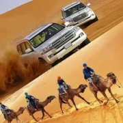 Dubai Desert Safari Tour