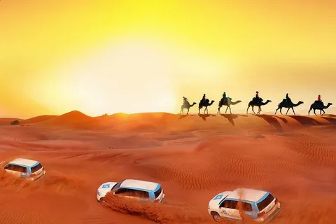 VIP Desert Safaris