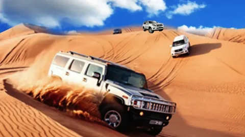 VIP Desert Safaris