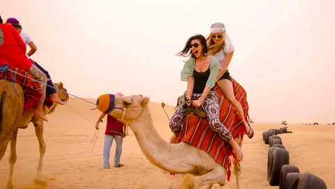 Arabian Safari Dubai Tours